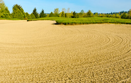 Silica Sand Image